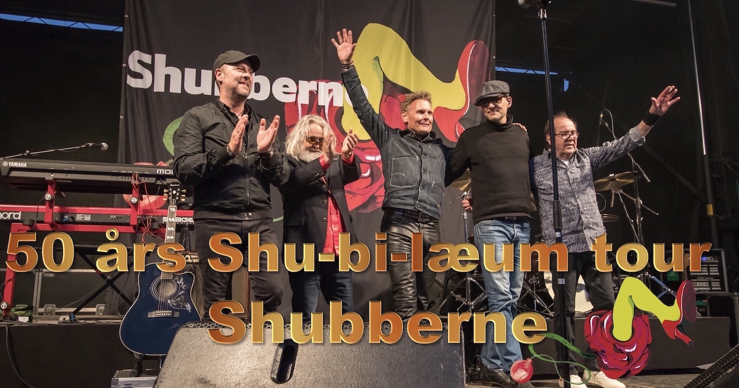 SHUBBERNE_Web
